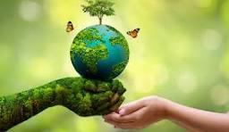 Environmental Day
