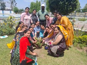 School Celebration